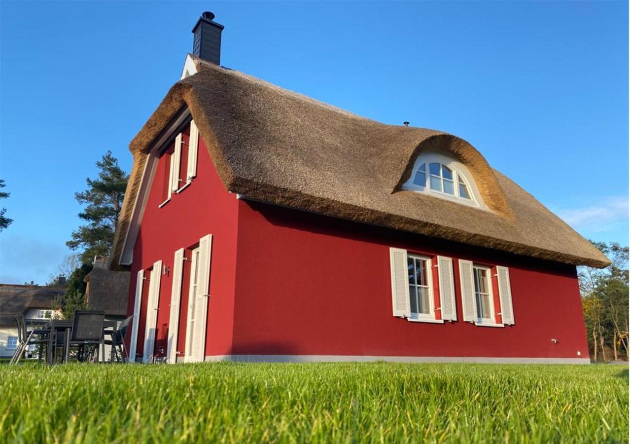 Modernes Reetdach-Ostseeferienhaus Bella Mare, Insel Usedom Mit Sauna, Kamin & Sonnenterrasse Zirchow ภายนอก รูปภาพ