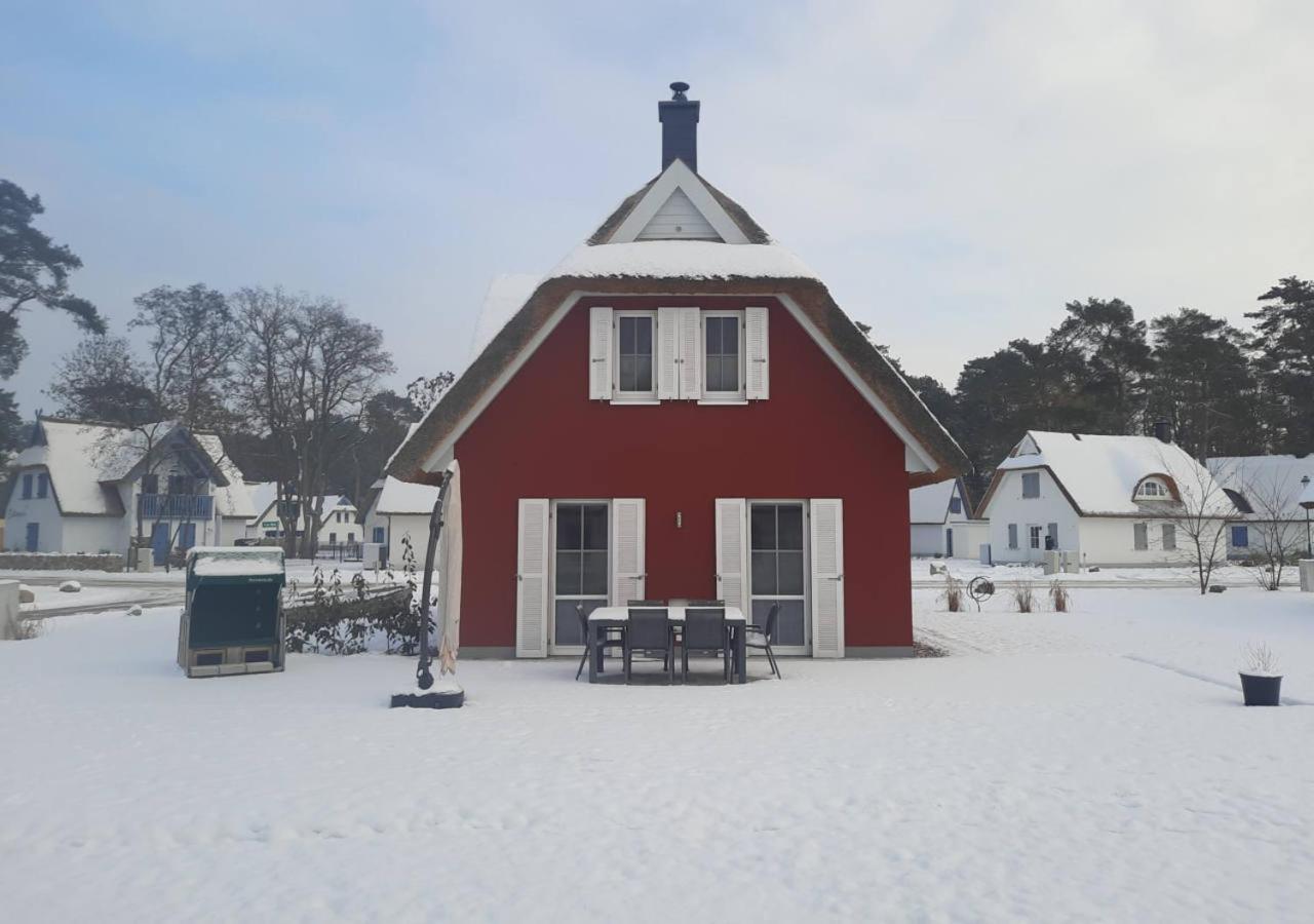 Modernes Reetdach-Ostseeferienhaus Bella Mare, Insel Usedom Mit Sauna, Kamin & Sonnenterrasse Zirchow ภายนอก รูปภาพ